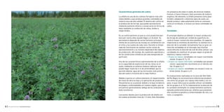 | 5INTA-EEA ALTO VALLE: CULTIVO DE ALFALFA4 | INTA-EEA ALTO VALLE: CULTIVO DE ALFALFA
Características generales del cultivo
La alfalfa es uno de los cultivos forrajeros más utili-
zados debido a que produce grandes cantidades de
materia seca de alta calidad. El destino del cultivo es
la producción de forraje, que puede aprovecharse
mediante pastoreo directo o conservarse en forma de
heno mediante la confección de rollos, fardos o
mega-fardos.
Es un cultivo perenne ya que su ciclo productivo per-
dura por varios años (puede llegar a 6-8 años). Su
persistencia depende de varios factores, principal-
mente de las prácticas de manejo en combinación con
el clima y los suelos de cada zona. Durante la tempo-
rada de crecimiento se realizan varios cortes de
aprovechamiento y su número dependerá del objetivo
de producción, del manejo, de cuestiones operativas y
de las condiciones climáticas de cada temporada en
particular.
Una de las características sobresalientes de la alfalfa
es la capacidad de exploración de las raíces en el
suelo, mediante un extenso sistema radicular que
puede llegar hasta los 6 m de profundidad, que le
permite obtener agua de los horizontes más profun-
dos del suelo e inclusive de la napa freática.
Debido a que es un cultivo extensivo, el requerimiento
de mano de obra es bajo y la aplicación de productos
ﬁtosanitarios es ocasional, debido a la baja incidencia
de plagas y enfermedades en nuestra región, que se
encuentran generalmente, debajo de los umbrales de
daño económico.
Los suelos ideales para la producción de alfalfa son
los suelos profundos (mas de 1,5 mts), bien drenados,
sin presencia de sales ni sodio, de texturas medias,
francos a franco limosos y bien provistos de materia
orgánica. No obstante, la alfalfa presenta cierta plas-
ticidad y adaptación a distintos tipos de suelo, pu-
diendo producir adecuadamente tanto en arenosos
como en arcillosos, e incluso con leves cantidades de
sales.
Variedades
El principal objetivo es obtener la mayor producción
de forraje de calidad por unidad de superﬁcie, du-
rante el mayor número de años posibles. Un aspecto
importante al momento de planiﬁcar la siembra es la
elección de la variedad. Actualmente hay un gran nú-
mero de variedades en el mercado, que muchas
veces diﬁculta la elección de cuál de ellas utilizar. Las
variedades se clasiﬁcan en grupos según el grado de
latencia o reposo invernal:
• Grupos sin reposo: variedades con mayor crecimiento
otoñal. Grupos 8, 9 y 10.
• Grupos con reposo intermedio: variedades que poseen
menor capacidad de crecimiento en el rebrote oto-
ñal. Grupos 6 y 7.
• Grupos con reposo: variedades con escaso o nulo re-
brote otoñal. Grupos 4 y 5.
En evaluaciones realizadas en la zona del Alto Valle
de Río Negro no se encontraron diferencias producti-
vas entre los grupos con reposo intermedio y sin re-
poso, lo que indica que es posible utilizar variedades
de los grupos 6 al 10. Es importante en la elección de
la variedad contemplar el comportamiento sanitario,
optando preferentemente por alfalfas que presenten
alta resistencia genética a enfermedades de raíz y co-
rona, y a pulgones.
 
