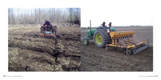 | 9INTA-EEA ALTO VALLE: CULTIVO DE ALFALFA8 | INTA-EEA ALTO VALLE: CULTIVO DE ALFALFA
 