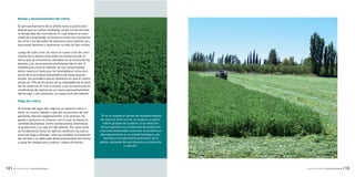 | 13INTA-EEA ALTO VALLE: CULTIVO DE ALFALFA12 | INTA-EEA ALTO VALLE: CULTIVO DE ALFALFA
Manejo y aprovechamiento del cultivo
El aprovechamiento de la alfalfa tiene la particulari-
dad de que se realiza mediante varios cortes durante
la temporada de crecimiento, lo cual implica la nece-
sidad de comprender la dinámica entre los momentos
de corte y los periodos de descanso para obtener pro-
ducciones óptimas y maximizar la vida útil del cultivo.
Luego de cada corte, se inicia un nuevo ciclo de creci-
miento de la planta utilizando las sustancias de re-
serva que se encuentran ubicadas en la corona de las
plantas y en los primeros centímetros de la raíz. A
medida que crece el rebrote, se van consumiendo
estas reservas hasta que se reestablecen como pro-
ducto de la actividad fotosintética de estos nuevos
brotes. Se considera que el momento en que el cultivo
posee un 10% de ﬂoración se ha reestablecido el total
de las reservas en raíz y corona, y por lo tanto está en
condiciones de realizarse un nuevo aprovechamiento
del forraje, y así comenzar un nuevo ciclo de rebrote.
Riego del cultivo
El manejo del agua del riego es un aspecto clave a
tener en cuenta, debido a que las situaciones de ane-
gamiento afectan negativamente a las plantas, lle-
gando a provocar su muerte, con lo cual se afecta la
cantidad de plantas. Como consecuencia, disminuye
la producción y la vida útil del alfalfar. Por esta razón
es fundamental tener en óptima condición las estruc-
turas de riego y drenaje, como así también la nivelación
del terreno y un adecuado dimensionamiento del ancho
y largo de melgas para realizar riegos eﬁcientes.
“Si no se respeta el tiempo de restablecimiento
de reservas entre cortes, se produce un agota-
miento gradual de la planta. Si se realiza en
forma repetida en la temporada de producción
o durante temporadas sucesivas, se produce un
desmejoramiento en su estado ﬁsiológico, pro-
vocando el envejecimiento prematuro de la
planta, afectando de esta manera su producción
y vida útil”.
 