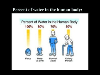 Percent of water in the human body:
 