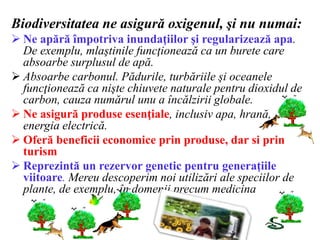 Biodiversitatea ne asigură oxigenul, şi nu numai:
 Ne apără împotriva inundaţiilor şi regularizează apa.
De exemplu, mlaştinile funcţionează ca un burete care
absoarbe surplusul de apă.
 Absoarbe carbonul. Pădurile, turbăriile şi oceanele
funcţionează ca nişte chiuvete naturale pentru dioxidul de
carbon, cauza numărul unu a încălzirii globale.
 Ne asigură produse esenţiale, inclusiv apa, hrană,
energia electrică.
 Oferă beneficii economice prin produse, dar si prin
turism
 Reprezintă un rezervor genetic pentru generaţiile
viitoare. Mereu descoperim noi utilizări ale speciilor de
plante, de exemplu, în domenii precum medicina
 