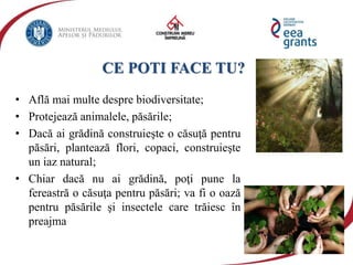 CE POTI FACE TU?
• Află mai multe despre biodiversitate;
• Protejează animalele, păsările;
• Dacă ai grădină construieşte o căsuţă pentru
păsări, plantează flori, copaci, construieşte
un iaz natural;
• Chiar dacă nu ai grădină, poţi pune la
fereastră o căsuţa pentru păsări; va fi o oază
pentru păsările şi insectele care trăiesc în
preajma
 