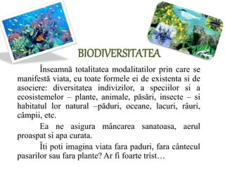 BIODIVERSITATEA
Înseamnă totalitatea modalitatilor prin care se
manifestă viata, cu toate formele ei de existenta si de
asociere: diversitatea indivizilor, a speciilor si a
ecosistemelor – plante, animale, păsări, insecte – si
habitatul lor natural –păduri, oceane, lacuri, râuri,
câmpii, etc.
Ea ne asigura mâncarea sanatoasa, aerul
proaspat si apa curata.
Îti poti imagina viata fara paduri, fara cântecul
pasarilor sau fara plante? Ar fi foarte trist…
 