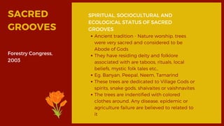 Forestry Congress,
2003
SACRED
GROOVES
SPIRITUAL, SOCIOCULTURAL AND
ECOLOGICAL STATUS OF SACRED
GROOVES
Ancient tradition - Nature worship, trees
were very sacred and considered to be
Abode of Gods
They have residing deity and folklore
associated with are taboos, rituals, local
beliefs, mystic folk tales etc,.
Eg. Banyan, Peepal, Neem, Tamarind
These trees are dedicated to Village Gods or
spirits, snake gods, shaivaites or vaishnavites
The trees are indentified with colored
clothes around. Any disease, epidemic or
agriculture failure are believed to related to
it
 