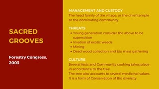 SACRED
GROOVES
Forestry Congress,
2003
MANAGEMENT AND CUSTODY
The head family of the village, or the chief temple
or the dominating community
THREATS
Young generation consider the above to be
superstition
Invation of exotic weeds
Mining
Dead wood collection and bio mass gathering
CULTURE
Several fests and Community cooking takes place
in accordance to the tree.
The tree also accounts to several medicinal values.
It is a form of Conservation of Bio diversity
 
