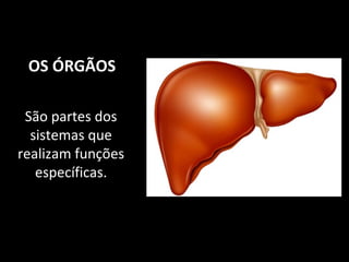 OS ÓRGÃOS
São partes dos
sistemas que
realizam funções
específicas.
 