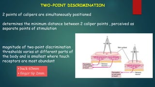 Intd of sensory systemf | PPTX