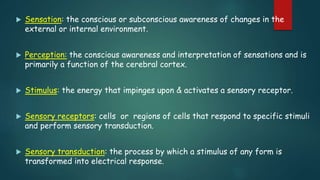 Intd of sensory systemf | PPTX
