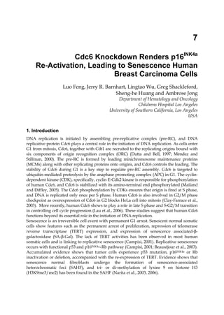 7

                Cdc6 Knockdown Renders p16INK4a
     Re-Activation, Leading to Senescence Human
                           Breast Carcinoma Cells
                    Luo Feng, Jerry R. Barnhart, Lingtao Wu, Greg Shackleford,
                                           Sheng-he Huang and Ambrose Jong
                                                   Department of Hematology and Oncology
                                                              Childrens Hospital Los Angeles
                                               University of Southern California, Los Angeles
                                                                                        USA


1. Introduction
DNA replication is initiated by assembling pre-replicative complex (pre-RC), and DNA
replicative protein Cdc6 plays a central role in the initiation of DNA replication. As cells enter
G1 from mitosis, Cdc6, together with Cdt1 are recruited to the replicating origins bound with
six components of origin recognition complex (ORC) (Dutta and Bell, 1997; Méndez and
Stillman, 2000). The pre-RC is formed by loading minichromosome maintenance proteins
(MCMs) along with other replicating proteins onto origins, and Cdc6 controls the loading. The
stability of Cdc6 during G1 is a key step to regulate pre-RC assembly. Cdc6 is targeted to
ubiquitin-mediated proteolysis by the anaphase promoting complex (APC) in G1. The cyclin-
dependent kinase (CDK), specifically, cyclin E-Cdk2 kinase is responsible for phosphorylation
of human Cdc6, and Cdc6 is stabilized with its amino-terminal end phosphorylated (Mailand
and Diffley, 2005). The Cdc6 phosphorylation by CDKs ensures that origin is fired at S phase,
and DNA is replicated only once per S phase. Human Cdc6 is also involved in G2/M phase
checkpoint as overexpression of Cdc6 in G2 blocks HeLa cell into mitosis (Clay-Farrace et al.,
2003). More recently, human Cdc6 shows to play a role in late S phase and S-G2/M transition
in controlling cell cycle progression (Lau et al., 2006). These studies suggest that human Cdc6
functions beyond its essential role in the initiation of DNA replication.
Senescence is an irreversible cell event with permanent G1 arrest. Senescent normal somatic
cells show features such as the permanent arrest of proliferation, repression of telomerase
reverse transcriptase (TERT) expression, and expression of senescence associated-β-
galactosidase (SA-β-Gal). The lack of TERT activities has been observed in most human
somatic cells and is linking to replicative senescence (Campisi, 2001). Replicative senescence
occurs with functional p53 and p16INK4a–Rb pathway (Campisi, 2001; Beauséjour et al., 2003).
Accumulated evidence shows that tumor cells experience p53 mutation, p16INK4a or Rb
inactivation or deletion, accompanied with the re-expression of TERT. Evidence shows that
senescence normal fibroblasts undergo the formation of senescence-associated
heterochromatic foci (SAHF), and tri- or di-methylation of lysine 9 on histone H3
(H3K9me3/me2) has been found in the SAHF (Narita et al., 2003, 2006).
 