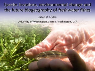 Species invasions, environmental change and
the future biogeography of freshwater fishes
                       Julian D. Olden
      University of Washington, Seattle, Washington, USA
 