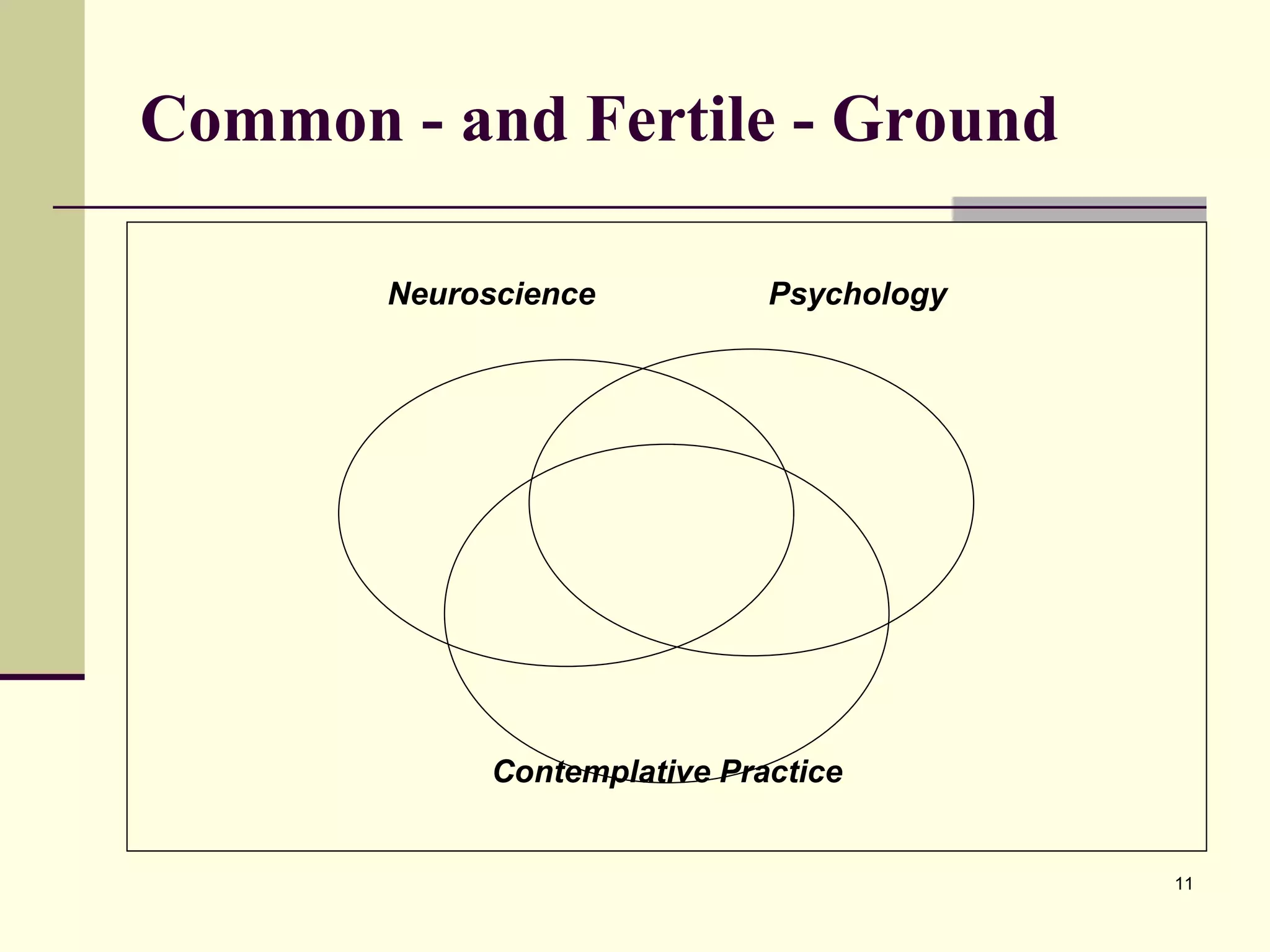 Common - and Fertile - Ground Neuroscience   Psychology Contemplative Practice 