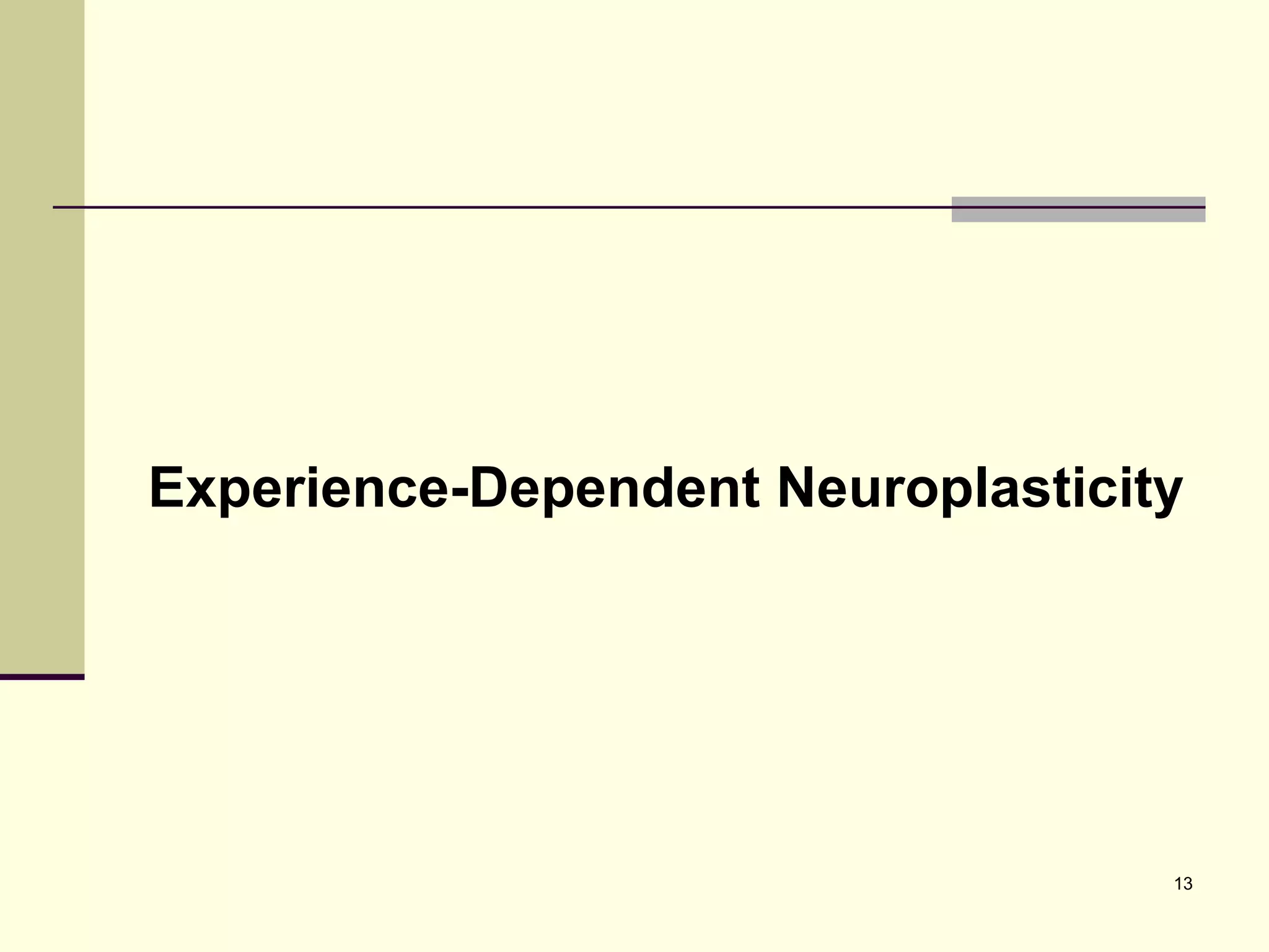 Experience-Dependent Neuroplasticity 