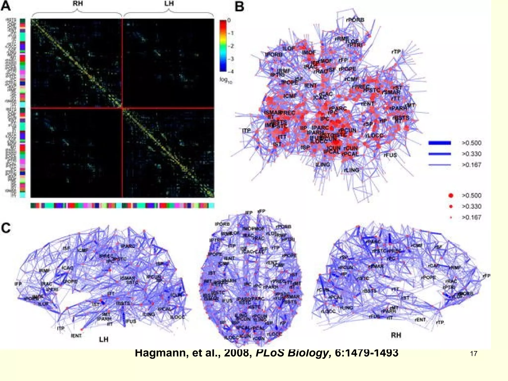The Connectome - 2 Hagmann, et al., 2008,  PLoS Biology,  6:1479-1493 