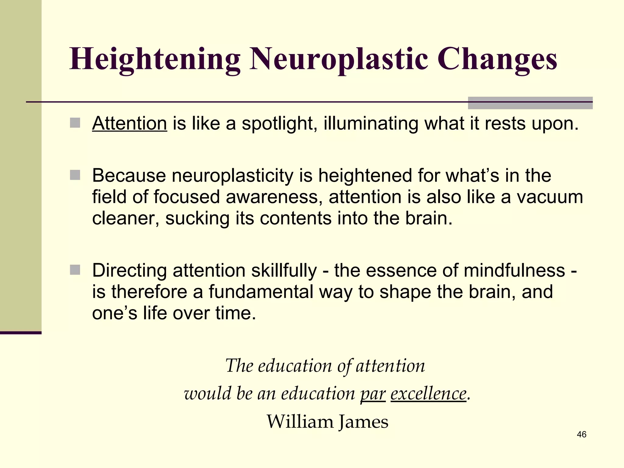 Heightening Neuroplastic Changes Attention  is like a spotlight, illuminating what it rests upon. Because neuroplasticity is heightened for what’s in the field of focused awareness, attention is also like a vacuum cleaner, sucking its contents into the brain. Directing attention skillfully - the essence of mindfulness - is therefore a fundamental way to shape the brain, and one’s life over time. The education of attention  would be an education  par   excellence . William James 