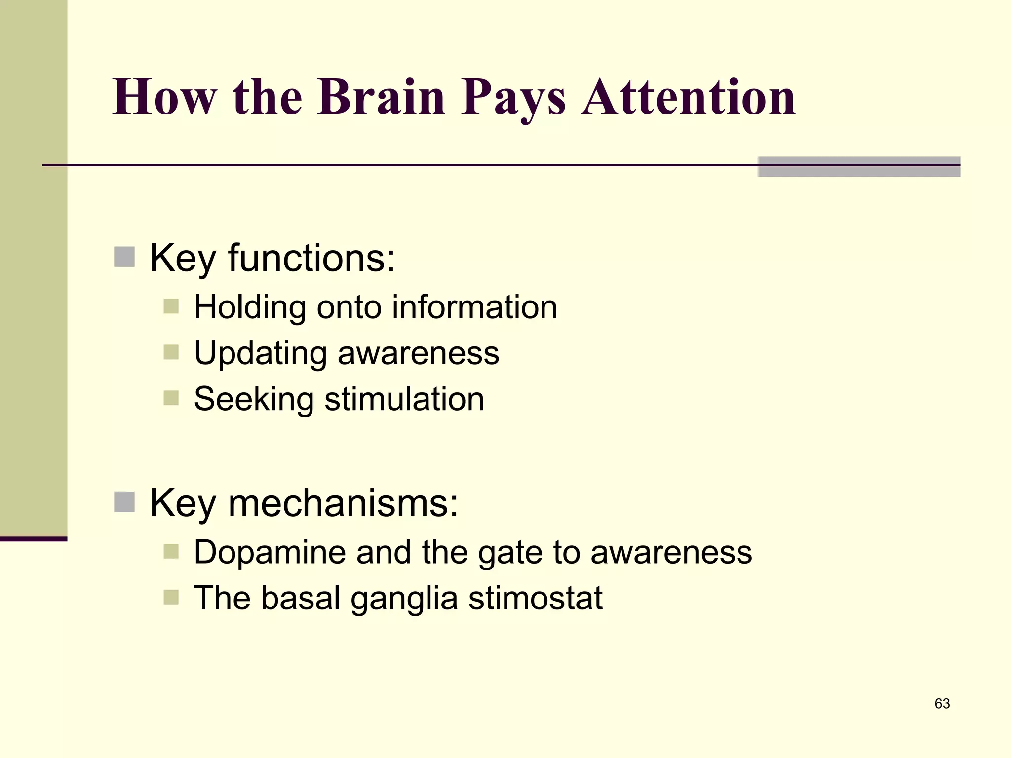 How the Brain Pays Attention   Key functions: Holding onto information Updating awareness Seeking stimulation Key mechanisms: Dopamine and the gate to awareness The basal ganglia stimostat 