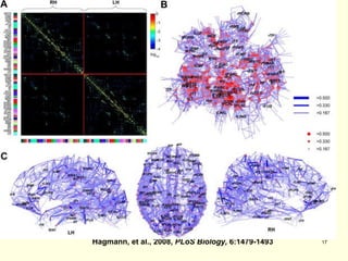 The Connectome - 2 Hagmann, et al., 2008,  PLoS Biology,  6:1479-1493 