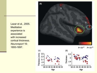Lazar et al., 2005.  Meditation  experience is  associated with increased cortical thickness. Neuroreport  16: 1893-1897. 