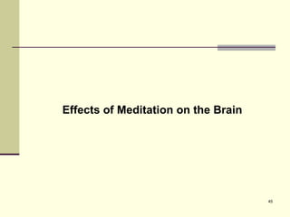 Effects of Meditation on the Brain 