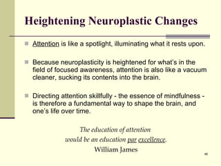 Heightening Neuroplastic Changes Attention  is like a spotlight, illuminating what it rests upon. Because neuroplasticity is heightened for what’s in the field of focused awareness, attention is also like a vacuum cleaner, sucking its contents into the brain. Directing attention skillfully - the essence of mindfulness - is therefore a fundamental way to shape the brain, and one’s life over time. The education of attention  would be an education  par   excellence . William James 