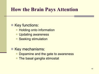 How the Brain Pays Attention   Key functions: Holding onto information Updating awareness Seeking stimulation Key mechanisms: Dopamine and the gate to awareness The basal ganglia stimostat 