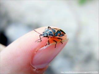 Integração Contínua - Maré de Agilidade