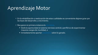 • En la rehabilitación o reeducación de estas cualidades es conveniente dejarse guiar por
las leyes del desarrollo y crecimiento.
• Recuperar en primera instancia la movilidad
 Darle la oportunidad al sistema nervioso central y periférico de experimentar
mayores rangos de movilidad, e
 Inmediatamente aportar estabilidad sobre lo ganado.
 