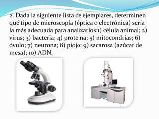 2. Dada la siguiente lista de ejemplares, determinen
qué tipo de microscopía (óptica o electrónica) sería
la más adecuada para analizarlos:1) célula animal; 2)
virus; 3) bacteria; 4) proteína; 5) mitocondrias; 6)
óvulo; 7) neurona; 8) piojo; 9) sacarosa (azúcar de
mesa); 10) ADN.
 