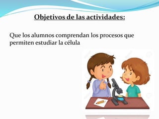 Objetivos de las actividades:
Que los alumnos comprendan los procesos que
permiten estudiar la célula
 
