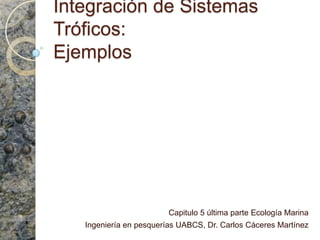 Integración de Sistemas Tróficos:Ejemplos Capitulo 5 última parte Ecología Marina  Ingeniería en pesquerías UABCS, Dr. Carlos Cáceres Martínez 