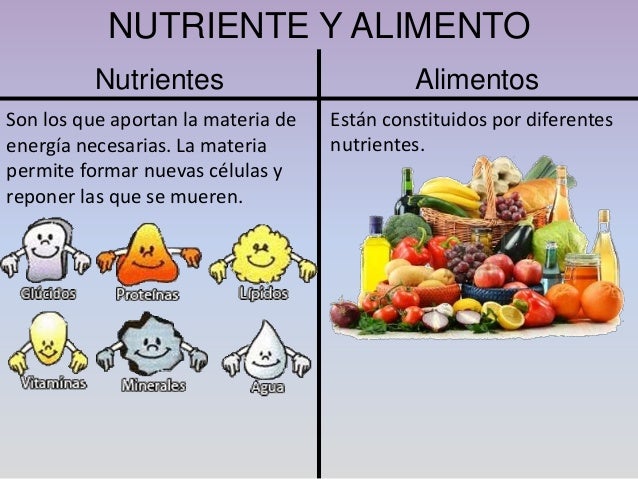 Resultado de imagen para nutrientes de los alimentos