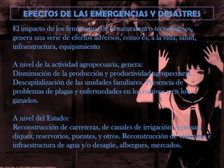 EFECTOS DE LAS EMERGENCIAS Y DESASTRESEl impacto de los fenómenos de la naturaleza o tecnológicos, genera una serie de efectos adversos, como es, a la vida, salud, infraestructura, equipamientoA nivel de la actividad agropecuaria, genera:Disminución de la producción y productividad agropecuaria.Descapitalización de las unidades familiares. Presencia de problemas de plagas y enfermedades en los cultivos y en losganados.A nivel del Estado:Reconstrucción de carreteras, de canales de irrigación, represas,diques, reservorios, puentes, y otros. Reconstrucción de viviendas e infraestructura de agua y/o desagüe, albergues, mercados.
