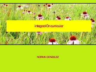 integraciÓn curricular NORMA GONZáLEZ   