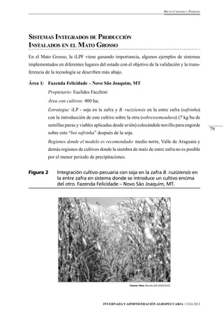 79 
Bruno Carneiro e Pedreira 
Sistemas Integrados de Producción 
Instalados en el Mato Grosso 
En el Mato Grosso, la iLPF viene ganando importancia, algunos ejemplos de sistemas 
implementados en diferentes lugares del estado con el objetivo de la validación y la trans-ferencia 
de la tecnología se describen más abajo. 
Área 1: Fazenda Felicidade – Novo São Joaquim, MT 
Propietario: Euclides Facchini 
Área con cultivos: 400 ha; 
Estrategia: iLP - soja en la zafra y B. ruziziensis en la entre zafra (safrinha) 
con la introducción de este cultivo sobre la otra (sobressemeadura) (7 kg/ha de 
semillas puras y viables aplicadas desde avión) colocándole novillo para engorde 
sobre esto “boi safrinha” después de la soja. 
Regiones donde el modelo es recomendado: medio norte, Valle de Araguaia y 
demás regiones de cultivos donde la siembra de maíz de entre zafra no es posible 
por el menor periodo de precipitaciones. 
Figura 2 Integración cultivo-pecuaria con soja en la zafra B. ruziziensis en 
la entre zafra en sistema donde se introduce un cultivo encima 
del otro. Fazenda Felicidade – Novo São Joaquim, MT. 
Fuente /foto: Marcelo Volf (24/03/2012). 
Invernada y Administración Agropecuaria // CEA 2013 
 
