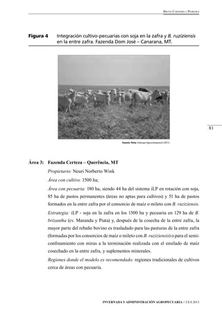 81 
Bruno Carneiro e Pedreira 
Figura 4 Integración cultivo-pecuarias con soja en la zafra y B. ruziziensis 
en la entre zafra. Fazenda Dom José – Canarana, MT. 
Fuente /foto: Embrapa Agrossilvipastoril (2011). 
Área 3: Fazenda Certeza – Querência, MT 
Propietario: Neuri Norberto Wink 
Área con cultivo: 1500 ha; 
Área con pecuaria: 180 ha, siendo 44 ha del sistema iLP en rotación con soja, 
85 ha de pastos permanentes (áreas no aptas para cultivos) y 51 ha de pastos 
formados en la entre zafra por el consorcio de maíz o mileto con B. ruziziensis. 
Estrategia: iLP - soja en la zafra en los 1500 ha y pecuaria en 129 ha de B. 
brizantha (cv. Marandu y Piata) y, después de la cosecha de la entre zafra, la 
mayor parte del rebaño bovino es trasladado para las pasturas de la entre zafra 
(formadas por los consorcios de maíz o mileto con B. ruziziensis) o para el semi-confinamiento 
con miras a la terminación realizada con el ensilado de maíz 
cosechado en la entre zafra, y suplementos minerales. 
Regiones donde el modelo es recomendado: regiones tradicionales de cultivos 
cerca de áreas con pecuaria. 
Invernada y Administración Agropecuaria // CEA 2013 
 