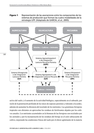 Figura 1 Representación de las asociaciones entre los componentes de los 
sistemas de producción que forman las cuatro modalidades de la 
estrategia iLPF. (Adaptado de GARCIA, et al., 2005). 
Agricultura 
Silvicultura 
Pecuaria 
Árboles + Cultivos Árboles + Animales 
Árboles + Cultivos + Animales 
Sistema Agrossilvipastoril 
o de integración 
Lavoura-Pecuaria-Floresta 
(iLPF) 
Sistema Agropastoril o de 
integración Lavoura-Pecuaria 
(iLP) 
Cultivos + Animales 
Sistema Silviagrícola 
o de integración 
Lavoura-Floresta 
(iLF) 
Invernada y Administración Agropecuaria // CEA 2013 
64 
Integración Cultivos-Ganadería-Bosque: Experiencias en Mato Grosso, Brasil 
Sistema Silvipastoril 
o de integración 
Pecuaria-Floresta 
(iPF) 
activa del suelo y el aumento de la actividad biológica, especialmente en el subsuelo, por 
razón de la penetración profunda de las raíces de especies perennes y tolerante a la acidez, 
además de aumentar la eficiencia del reciclado de los nutrientes. Las gramíneas forrajeras 
tropicales son eficientes en aprovechar los residuos de fertilizantes dejados por los culti-vos 
anuales. Los nutrientes acumulados en la biomasa de las forrajeras son reciclados por 
los animales y por la incorporación de los residuos del forraje en el ciclo subsecuente de 
cultivo, mejorando las condiciones físicas del suelo por el efecto aglutinante de la materia 
 