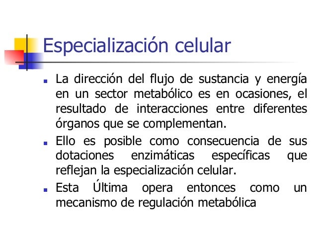 funciones del metabolismo resultados