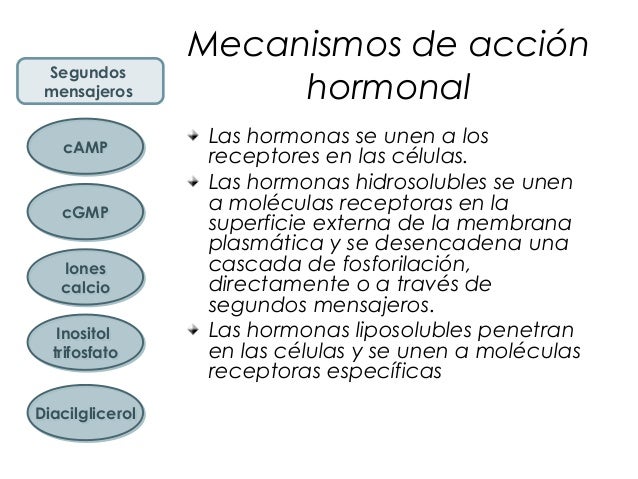 El estrés y fundacion dieta mediterránea