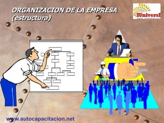 www.autocapacitacion.net
ORGANIZACION DE LA EMPRESA
(estructura)
 