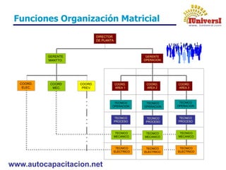 www.autocapacitacion.net
DIRECTOR
DE PLANTA
COORD.
ELEC.
GERENTE
MANTTO.
COORD.
MEC.
COORD.
PREV.
COORD.
AREA 3
COORD.
AREA 2
COORD.
AREA 1
GERENTE
OPERACION
TECNICO
OPERACION
TECNICO
OPERACION
TECNICO
OPERACION
TECNICO
PROCESO
TECNICO
PROCESO
TECNICO
PROCESO
TECNICO
MECANICO
TECNICO
MECANICO
TECNICO
MECANICO
TECNICO
ELECTRICO
TECNICO
ELECTRICO
TECNICO
ELECTRICO
Funciones Organización Matricial
 