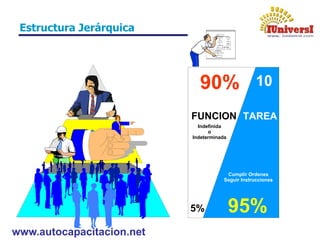 www.autocapacitacion.net
Estructura Jerárquica
 