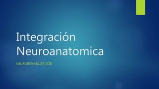 Integración
Neuroanatomica
NEUROREHABILITACIÓN
 