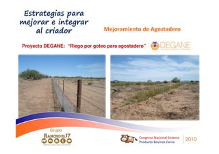 Estrategias para
mejorar e integrar
    al criador                   Mejoramiento de Agostadero

Proyecto DEGANE: “Riego por goteo para agostadero”




           Grupo
                                               Congreso Nacional Sistema
                                               Producto Bovinos Carne
                                                                           2010
 