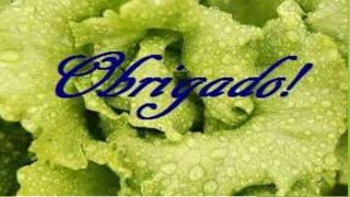 Bioquímica dos Alimentos Orgânicos