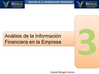 ANALISIS DE LA INFORMACIÓN FINANCIERA 3 Análisis de la Información Financiera en la Empresa Ciudad Obregón Sonora. 