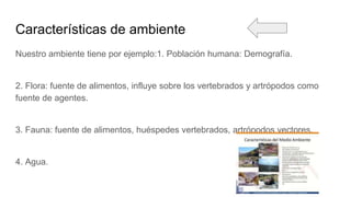 Características de ambiente
Nuestro ambiente tiene por ejemplo:1. Población humana: Demografía.
2. Flora: fuente de alimentos, influye sobre los vertebrados y artrópodos como
fuente de agentes.
3. Fauna: fuente de alimentos, huéspedes vertebrados, artrópodos vectores.
4. Agua.
 
