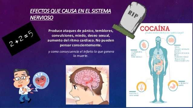 Adicciones: Causas y Consecuencias COCAINA EFECTOS EN EL SISTEMA NERVIOSO