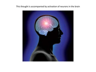 This thought is accompanied by activation of neurons in the brain
 