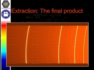 Extraction: The final product 