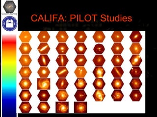 CALIFA: PILOT Studies 