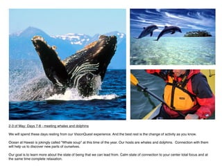 2-3 of May: Days 7-8 - meeting whales and dolphins

We will spend these days resting from our VisionQuest experience. And the best rest is the change of activity as you know.

Ocean at Hawaii is jokingly called "Whale soup" at this time of the year. Our hosts are whales and dolphins. Connection with them
will help us to discover new parts of ourselves.

Our goal is to learn more about the state of being that we can lead from. Calm state of connection to your center total focus and at
the same time complete relaxation.
 